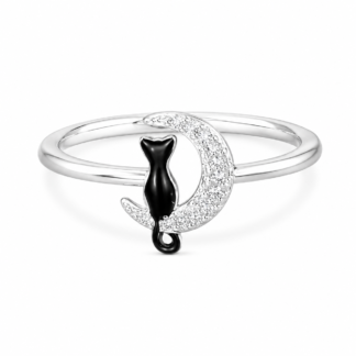 Anillo 1