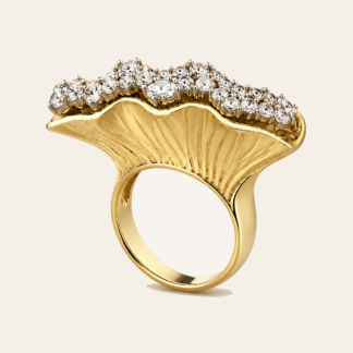 Anillo Abanico Moderno