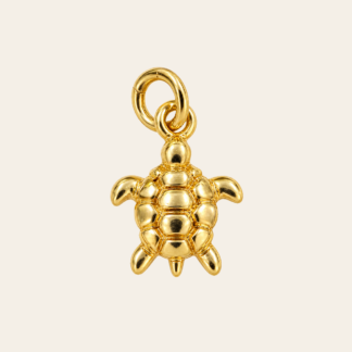 Dije Tortuga